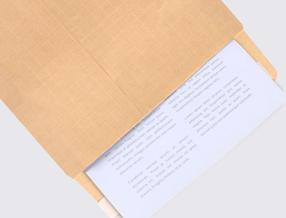 SOBRE LIDERPAPEL BOLSA N.13 KRAFT 310X410 MM TIRA DE SILICONA CAJA DE 250 UNIDADES